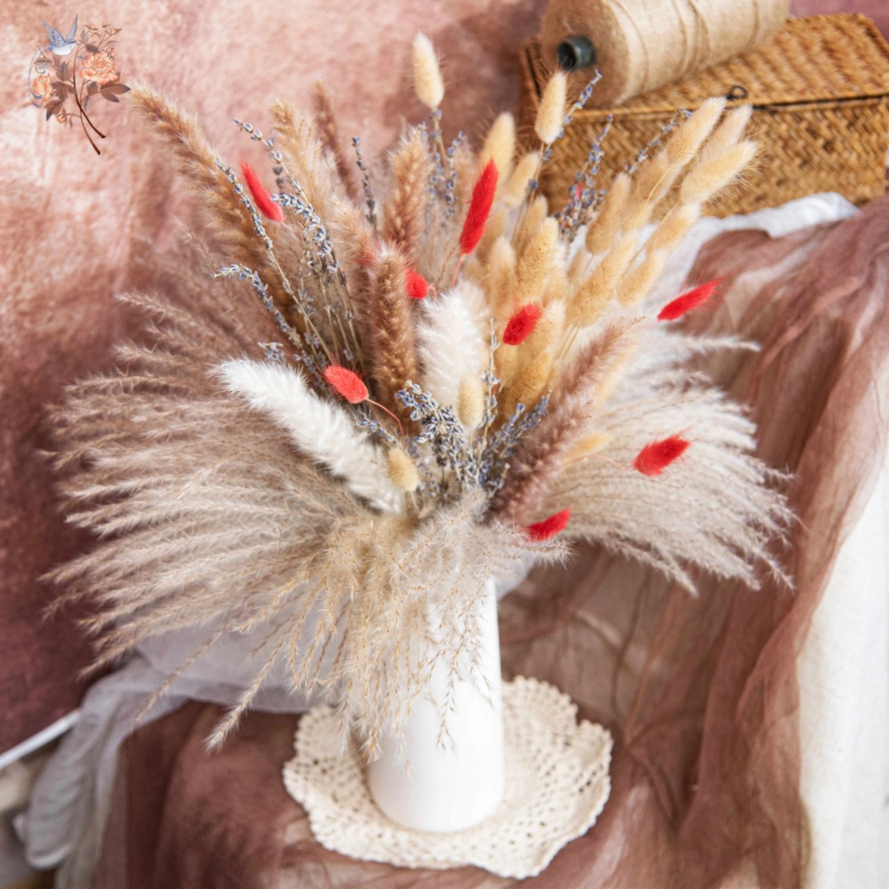 Buket Bunga Kering Alami Pampa - Pampas Grass Decor ulasan dan harga
