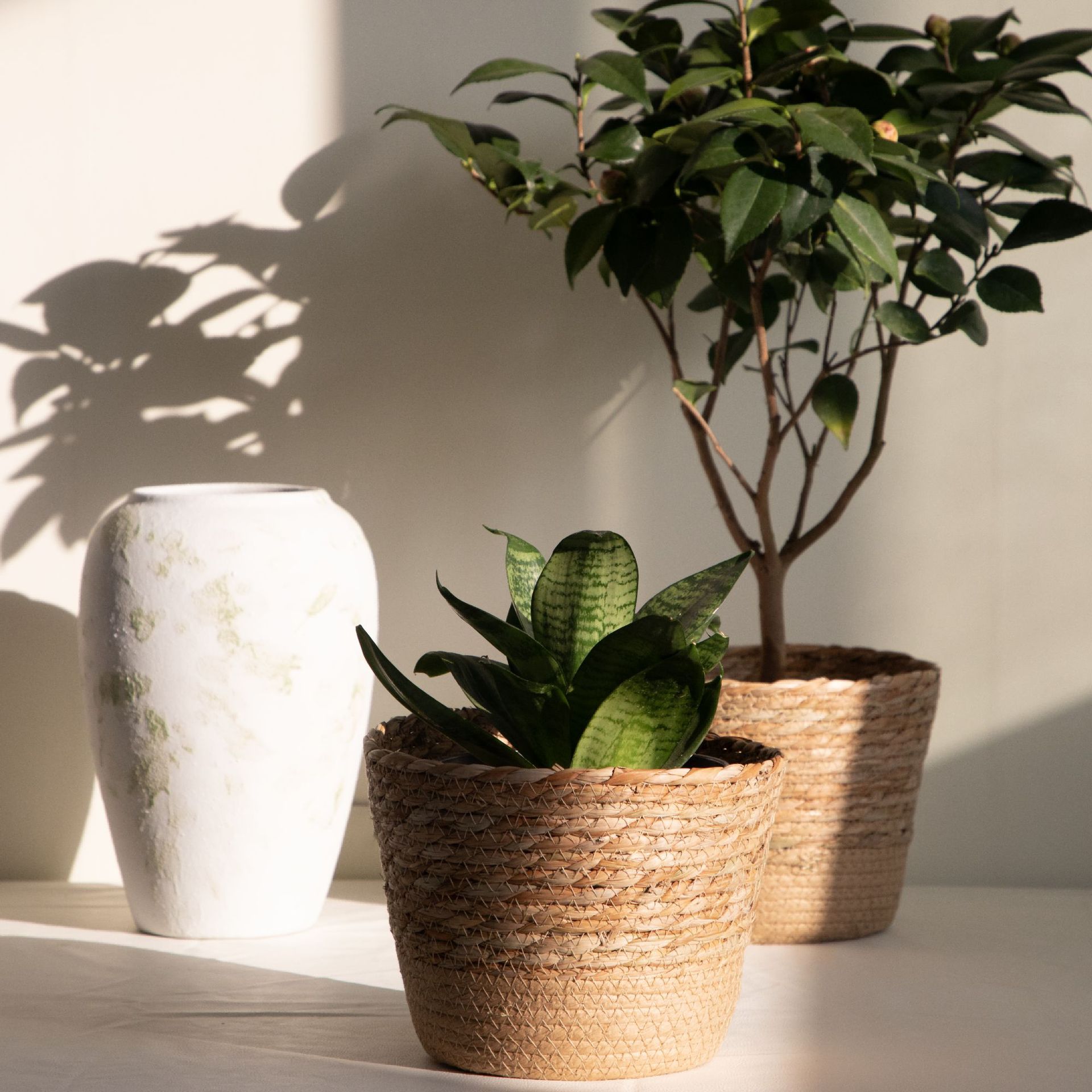 Keranjang Penyimpanan Anyaman  - Rattan Plant Basket ulasan dan harga