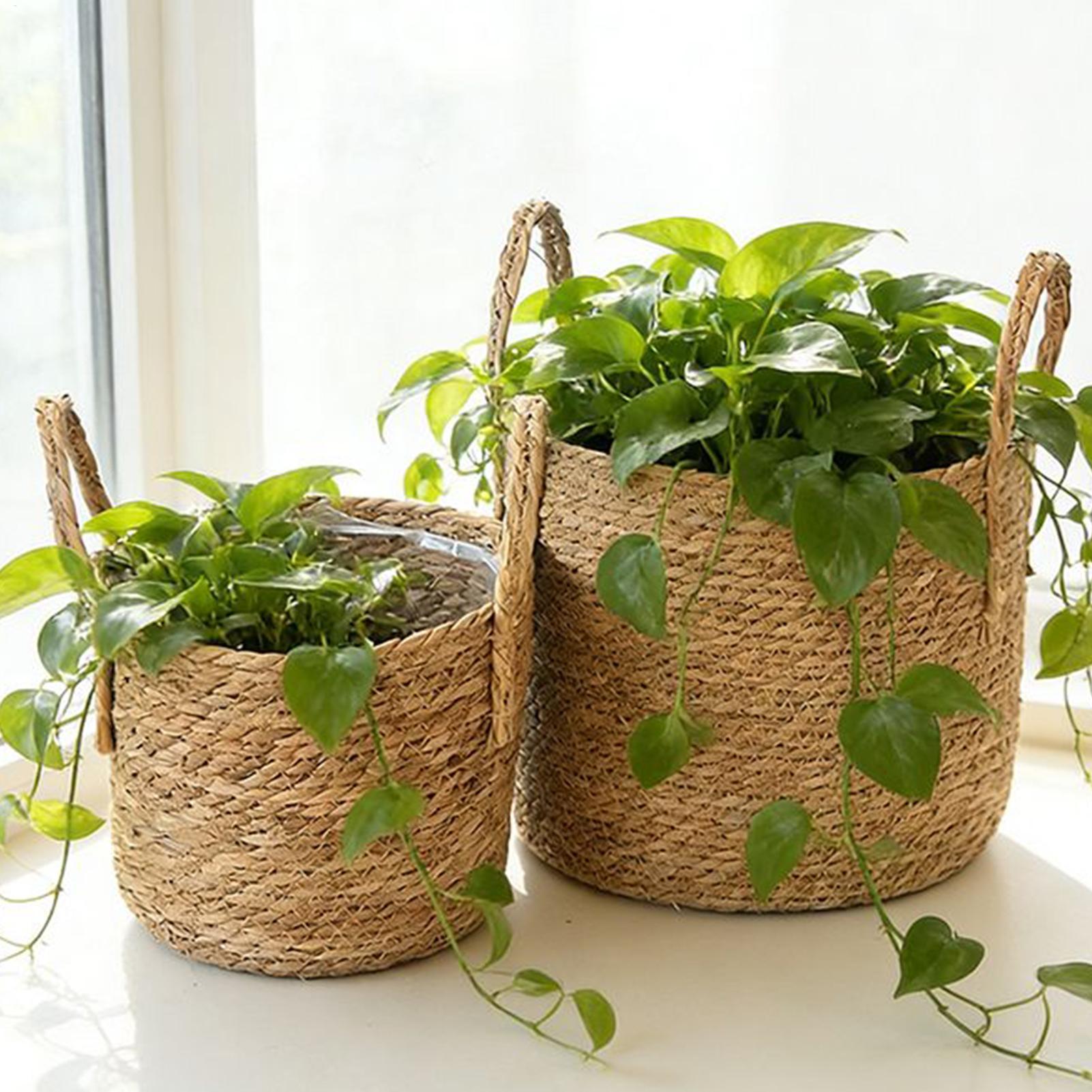 Keranjang Tanaman Jerami Pot B - Rattan Plant Basket ulasan dan harga